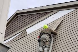 Shed Removal in Greenwood, DE